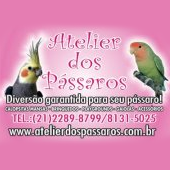 Atelier dos P&aacute;ssaros